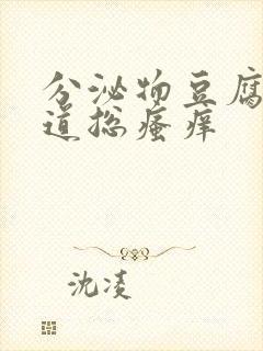 分泌物豆腐渣阴道总瘙痒