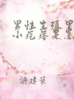 男性生殖里面有小疙瘩是怎么回事