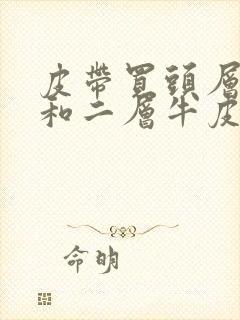 皮带买头层牛皮和二层牛皮哪个好