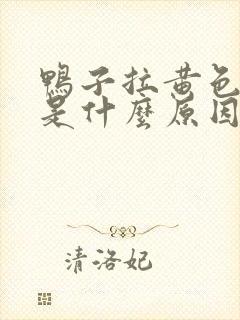 鸭子拉黄色稀便是什么原因