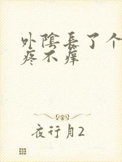 外阴长了个包 疼不痒