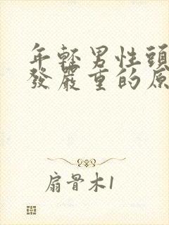 年轻男性头顶掉发严重的原因