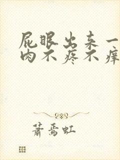 屁眼出来一疙瘩肉不疼不痒