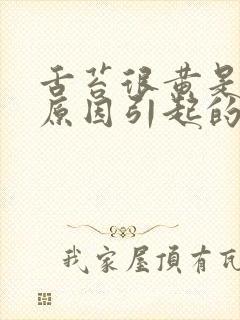 舌苔很黄是什么原因引起的