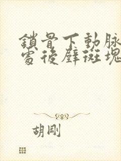 锁骨下动脉起始处后壁斑块形成