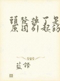 头发掉了是什么原因引起的