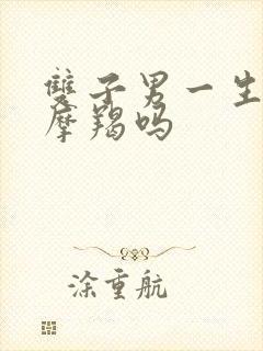 双子男一生只爱摩羯吗