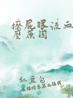 擦屁眼流血是什么原因