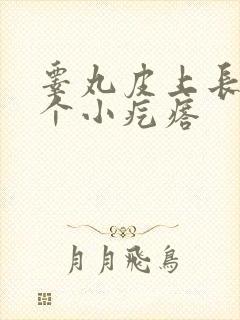 睾丸皮上长了一个小疙瘩