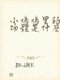 小鸡鸡里的白色物体是什么