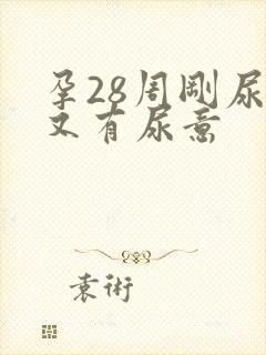 孕28周刚尿完又有尿意