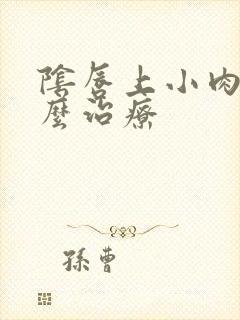 阴唇上小肉刺怎么治疗