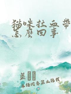 猫咪拉血带粘液怎么回事