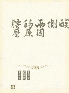 腰的两侧酸痛什么原因