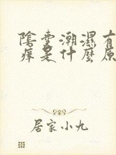 阴囊潮湿有骚味痒是什么原因