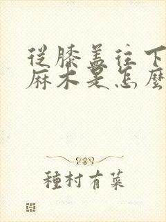 从膝盖往下腿脚麻木是怎么回事