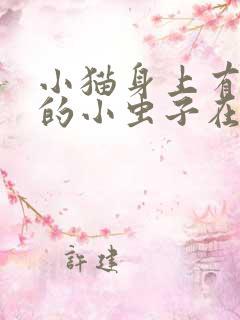 小猫身上有黑色的小虫子在爬