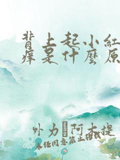 背上起小红疙瘩痒是什么原因