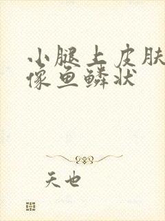 小腿上皮肤干燥像鱼鳞状