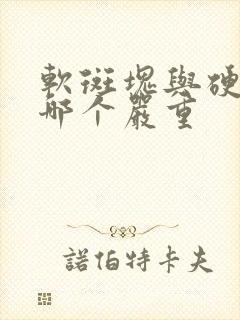 软斑块与硬斑块哪个严重