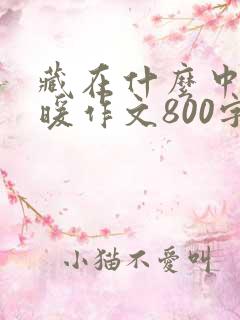 藏在什么中的温暖作文800字