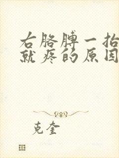 右胳膊一抬肩膀就疼的原因