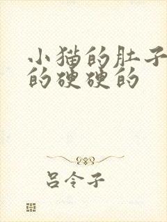 小猫的肚子鼓鼓的硬硬的