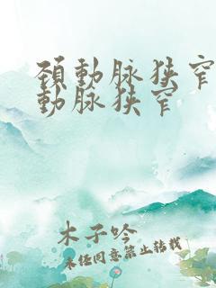 颈动脉狭窄和椎动脉狭窄