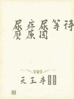 尿疼尿等待是什么原因