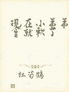 现在小弟弟硬一会就软了