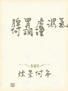 脾胃虚湿气重如何调理