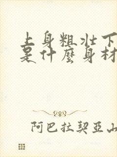 上身粗壮下身瘦是什么身材