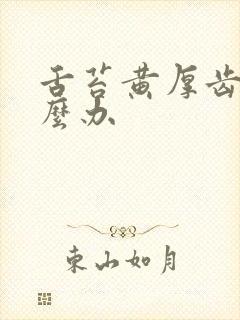 舌苔黄厚齿痕怎么办