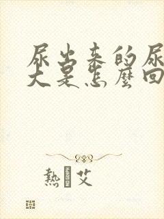 尿出来的尿味道大是怎么回事