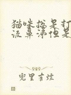 猫咪总是打喷嚏流鼻涕但是状态正常