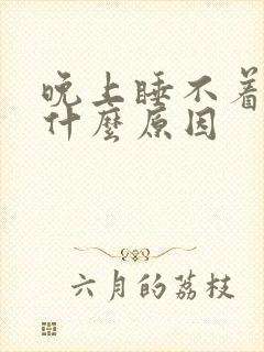 晚上睡不着睡是什么原因