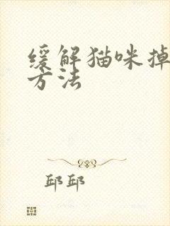 缓解猫咪掉毛的方法