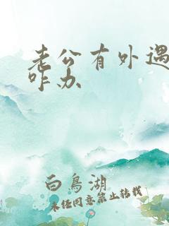 老公有外遇了我咋办