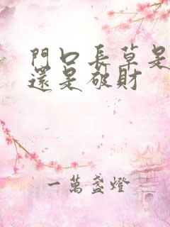 门口长草是招财还是破财