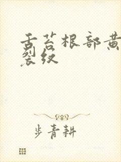 舌苔根部黄腻有裂纹