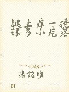 腿上痒一挠就起很多小疙瘩