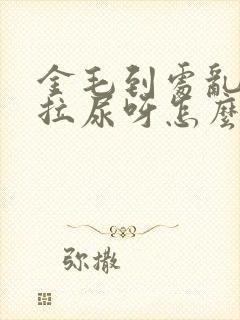 金毛到处乱拉屎拉尿呀怎么办呀