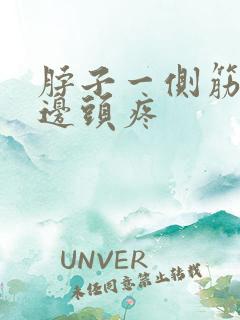 脖子一侧筋疼半边头疼