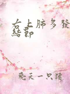 右上肺多发斑点结节