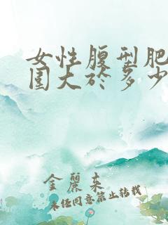 女性腹型肥胖腰围大于多少