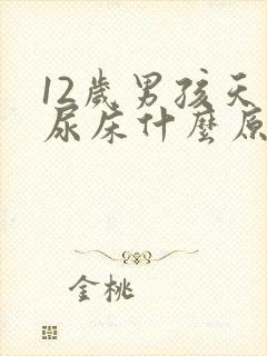 12岁男孩天天尿床什么原因