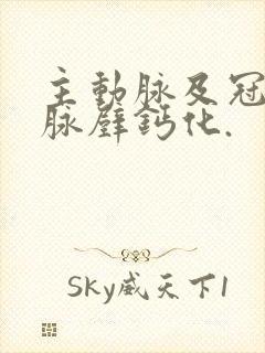 主动脉及冠状动脉壁钙化.