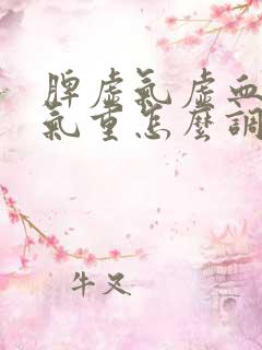 脾虚气虚血虚湿气重怎么调理