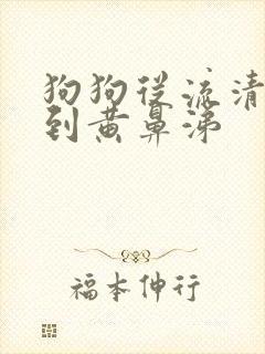 狗狗从流清鼻涕到黄鼻涕