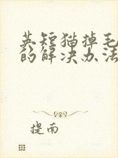 英短猫掉毛最好的解决办法